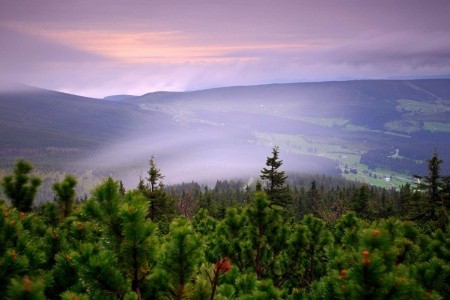 Pytloun Wellness Hotel Harrachov - 41