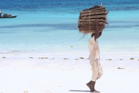 Zanzibar, Další oblasti na Zanzibaru, Pongwe Beach, za <span>55.500</span> Kč