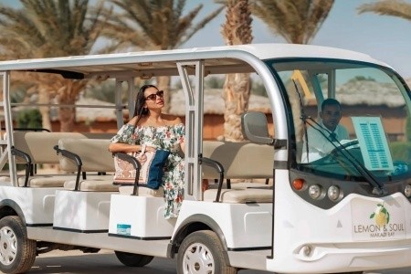 Lemon & Soul Makadi Garden (Ex. Labranda Garden) - 10