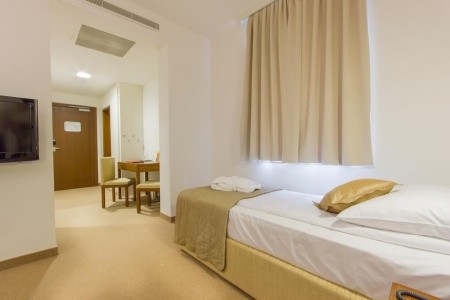 Zdraviliški Dvor - 29