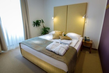 Zdraviliški Dvor - 30