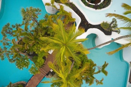 Hyatt Ziva Jardín Tropical Tenerife - 98