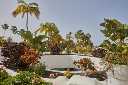 Hyatt Ziva Jardín Tropical Tenerife - 100