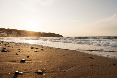 Petradi Beach Hotel - 118