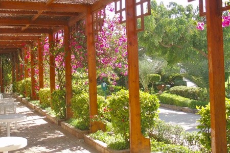 Egypt Safaga Menaville 13 dňový pobyt All Inclusive Letecky Letisko: Praha April 2026 ( 1/04/26-13/04/26)