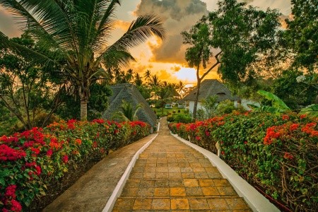 Zanzibar  Filao Beach Zanzibar 8 dňový pobyt All Inclusive Letecky Letisko: Praha January 2026 ( 3/01/26-10/01/26)