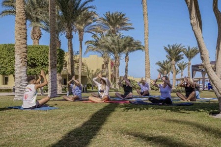 Palm Beach Resort - 25