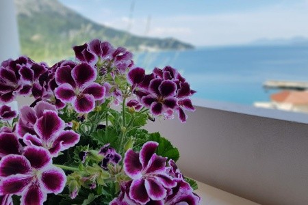 Penzion Mihaljevic (Igrane) - 22