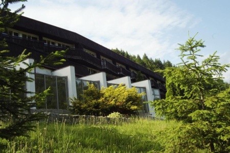 Nat Piwniczna Zdrój Smrek - 13