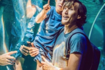 Dubaj na vlně radosti: atrakce plné zábavy pro rodiny s dětmi