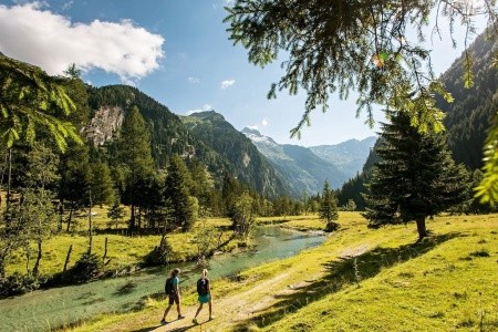 Ferienhotel Alber - 12