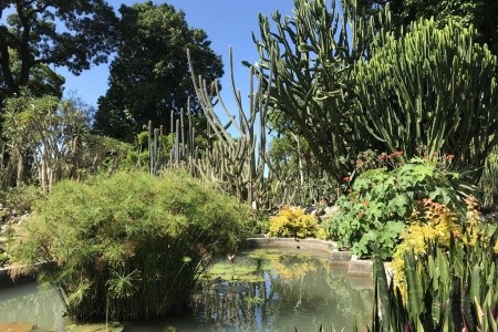 Rio de Janeiro a vodopády Iguaçu - 30