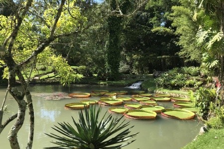 Rio de Janeiro a vodopády Iguaçu - 31