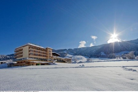 Harfenwirt (Niederau) - 4