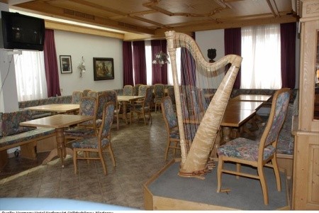 Harfenwirt (Niederau) - 13