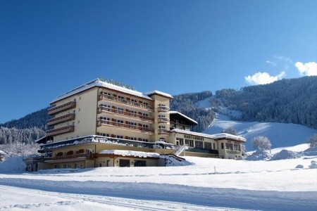 Harfenwirt (Niederau) - 26