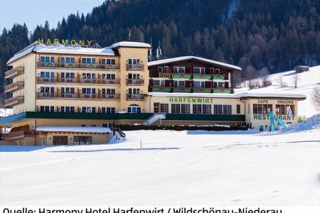 Harfenwirt (Niederau) - 27