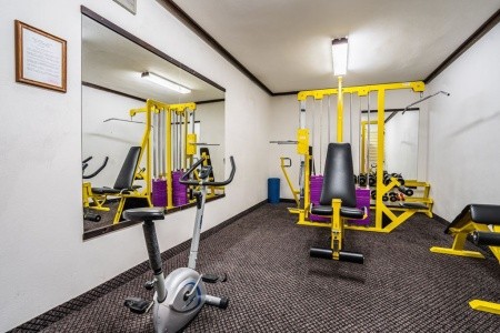 Česká republika Južné Čechy Lipno (Radslav) 4 dňový pobyt Polpenzia Vlastná December 2025 (11/12/25-14/12/25)