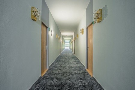 Česká republika Južné Čechy Lipno (Radslav) 4 dňový pobyt Polpenzia Vlastná December 2025 (11/12/25-14/12/25)