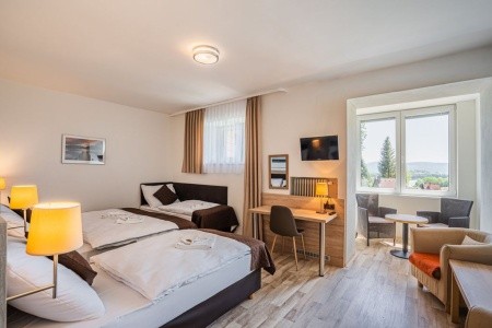 Česká republika Južné Čechy Lipno (Radslav) 4 dňový pobyt Polpenzia Vlastná December 2025 (11/12/25-14/12/25)