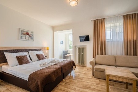 Česká republika Južné Čechy Lipno (Radslav) 4 dňový pobyt Polpenzia Vlastná December 2025 (11/12/25-14/12/25)