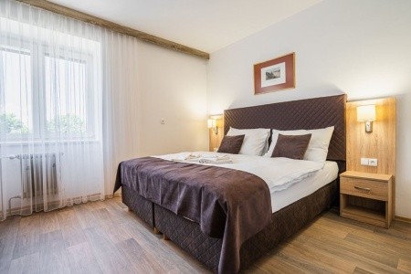 Česká republika Južné Čechy Lipno (Radslav) 4 dňový pobyt Polpenzia Vlastná December 2025 (11/12/25-14/12/25)