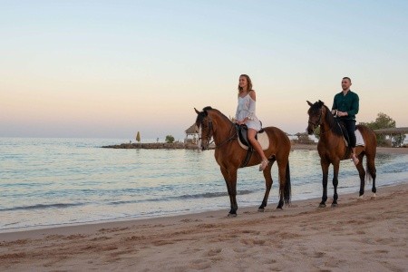 Egypt Hurghada Mercure Hurghada 11 dňový pobyt All Inclusive Letecky Letisko: Praha February 2026 (25/02/26- 7/03/26)