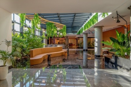 Berry Blue (Ex. Maya World Side) - 275