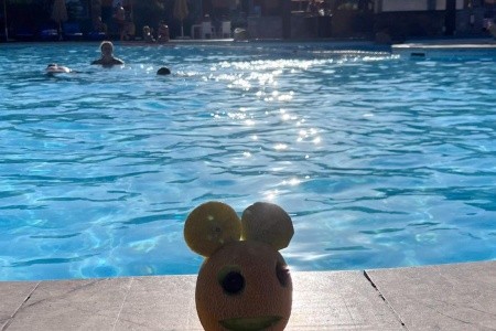 Egypt Marsa Alam Novotel Resort Marsa Alam 5 dňový pobyt All Inclusive Letecky Letisko: Praha May 2026 (20/05/26-24/05/26)