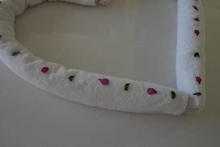 Egypt Marsa Alam Novotel Resort Marsa Alam 5 dňový pobyt All Inclusive Letecky Letisko: Praha May 2026 (20/05/26-24/05/26)