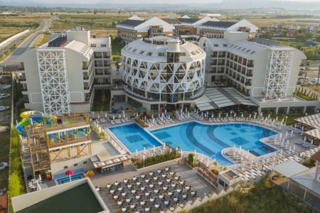 Seashell Vega (Ex. Crown Sunshine) - 81