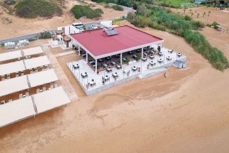 Seashell Vega (Ex. Crown Sunshine) - 83