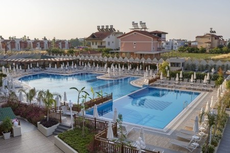 Seashell Vega (Ex. Crown Sunshine) - 85