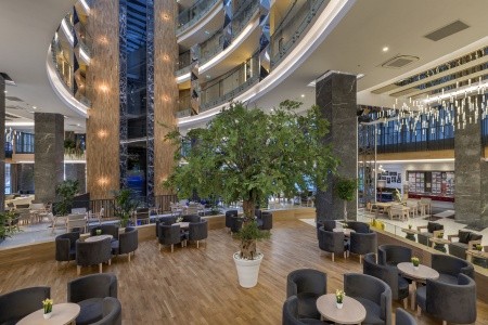 Seashell Vega (Ex. Crown Sunshine) - 86