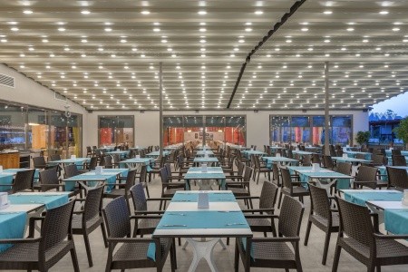 Seashell Vega (Ex. Crown Sunshine) - 89