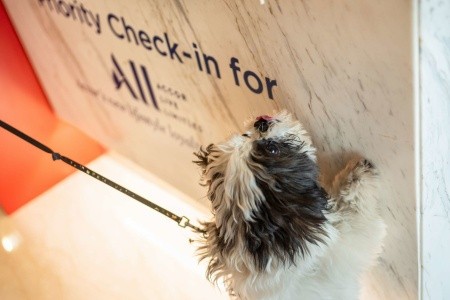 ibis Wien Hauptbahnhof - 52