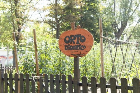 Color Green Village - 34