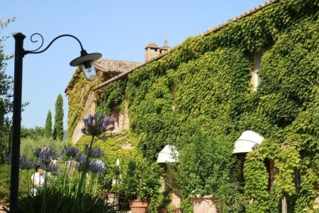 La Sovana (Sarteano) - 29