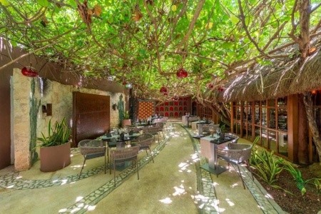 Mexiko Cancún Live Aqua Beach Resort Cancun 10 dňový pobyt All Inclusive Letecky Letisko: Praha December 2025 (21/12/25-30/12/26)