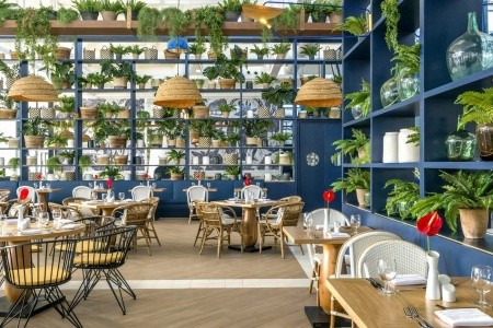 Ocean Riviera Paradise - 33