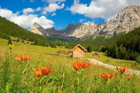 Villa Emma (Alba Di Canazei) - 14