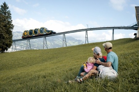 Švýcarské klenoty – ledovce, vodopády a horské průsmyky se vstupy v ceně - 15