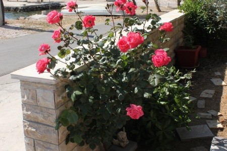 Pokoje 3298-1337 - 10