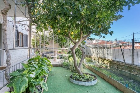 Apartmány 3298-2355 - 10