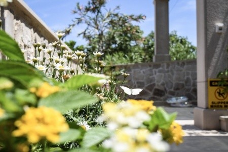 Apartmány Gracija - 7