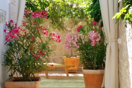 Apartmány Gracija - 12