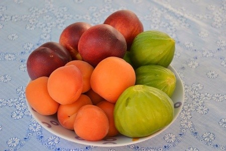 Apartmány Gracija - 16