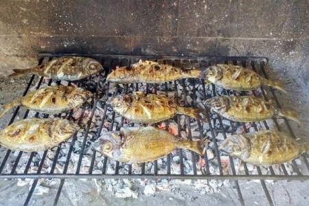 Apartmány Gracija - 21