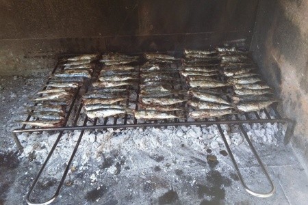 Apartmány Gracija - 22