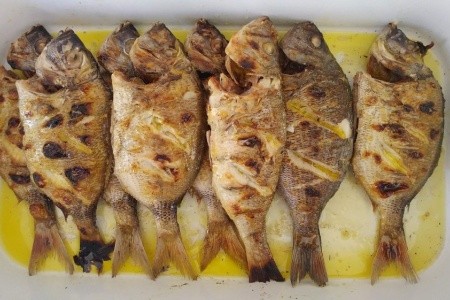 Apartmány Gracija - 23